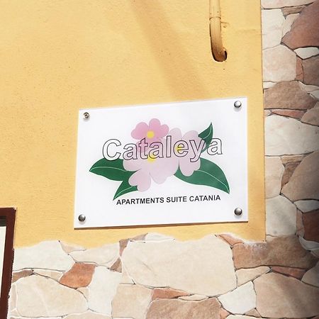 Cataleya Apartment Катания Екстериор снимка