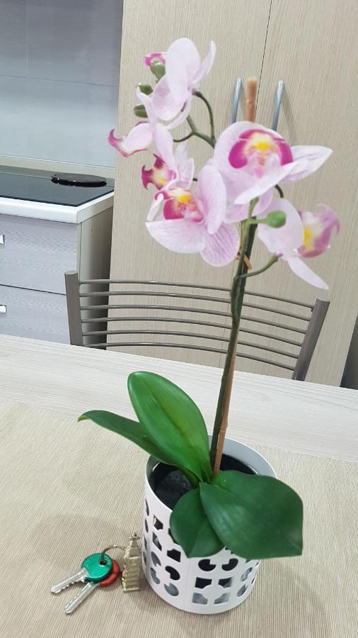Cataleya Apartment Катания Екстериор снимка